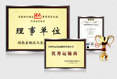 褐燕供應鏈的服務